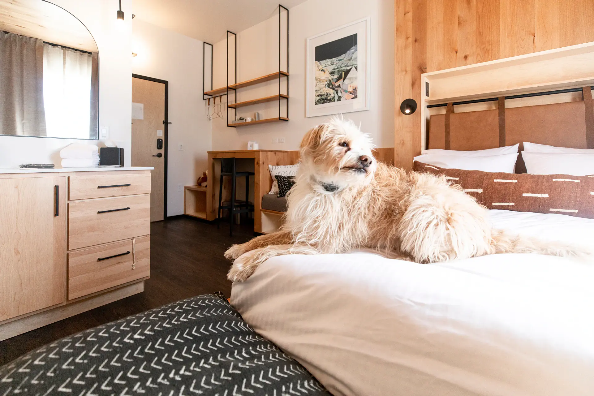 Pet Friendly Jr Queen Suite